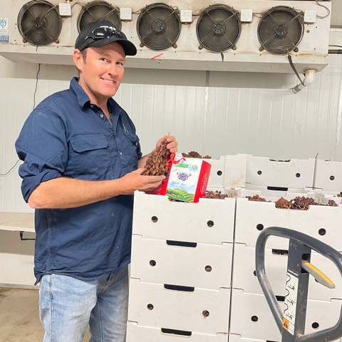 Nho Khô Nguyên Adora st Food Dried Grapes Cluster Crimson 1 kg đặc sản của Úc