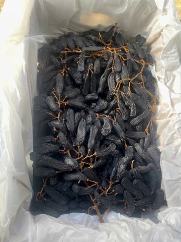 Nho Ngón Tay khô nguyên cành Little Gemz Sweet Sapphire Dried Grapes Clusters 3kg