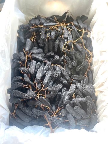 KHO HN: Nho Ngón Tay khô nguyên cành Little Gemz Sweet Sapphire Dried Grapes Clusters 3kg