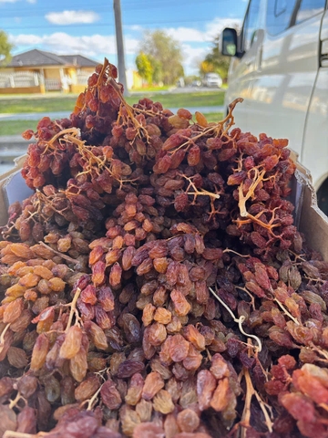 Nho khô nguyên cành Adora st Food Dried Grapes Cluster Crimson  7kg