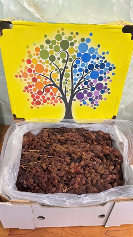 Nho khô nguyên cành Adora st Food  Crimson Dried Table Grapes Cluster 7kg