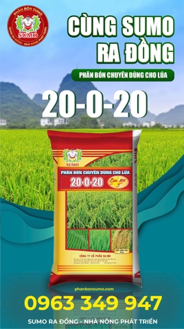 LÚA 3