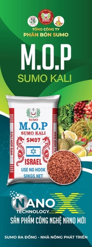 MOP KALI