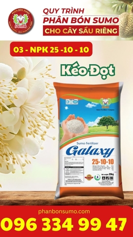 NPK 25-10-10 GALAXY