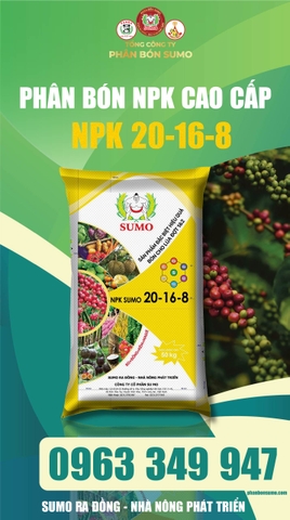 Sumo NPK 20.16.8