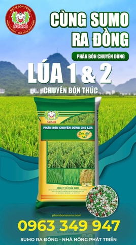 LÚA 1&2
