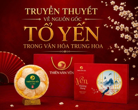 TRUYỀN THUYẾT VỀ NGUỒN GỐC TỔ YẾN TRONG VĂN HÓA TRUNG HOA