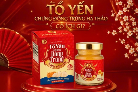 Tổ yến chưng đông trùng hạ thảo có ích gì?