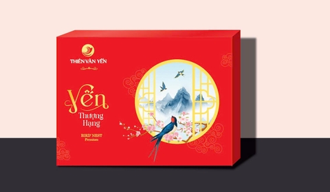 Đi thăm bệnh nên chọn loại tổ yến chưng nào phù hợp nhất?