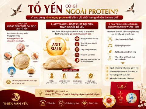 TỔ YẾN CÓ GÌ NGOÀI PROTEIN?