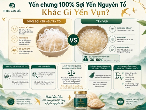 Yến chưng 100% Sợi Yến Nguyên Tổ Khác Gì Yến Vụn? Điều Người Tiêu Dùng Nên Biết