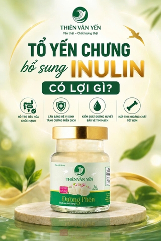 Tổ yến chưng bổ sung Inulin có lợi gì? Chất xơ Inulin là gì?