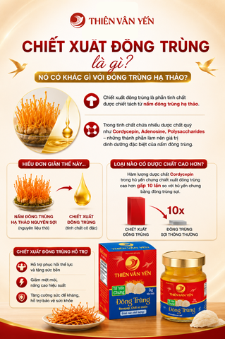 Chiết xuất đông trùng là gì? Nó có khác gì với đông trùng hạ thảo không?