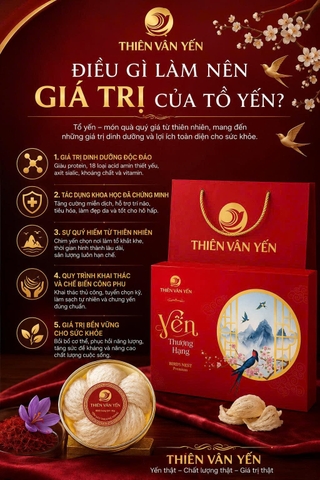 ĐIỀU GÌ LÀM NÊN GIÁ TRỊ CỦA TỔ YẾN?