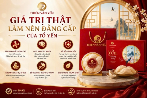 GIÁ TRỊ THẬT LÀM NÊN ĐẲNG CẤP CỦA TỔ YẾN