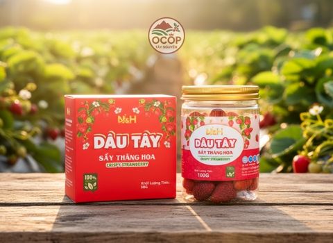 Dâu Tây Sấy Thăng Hoa - NGUYÊN HƯƠNG