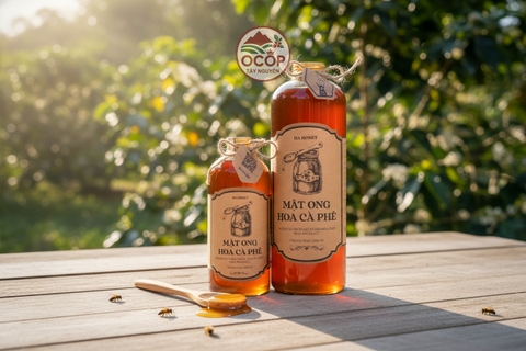MẬT ONG HOA CÀ PHÊ - HÀ HONEY
