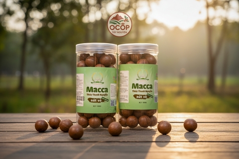 Hạt Macca Nứt Vỏ Thủy Thanh Nguyên