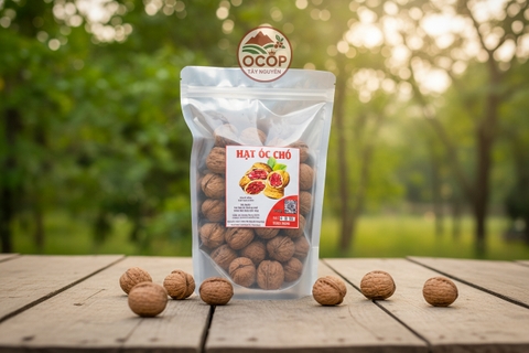 Hạt Óc Chó Cao Cấp