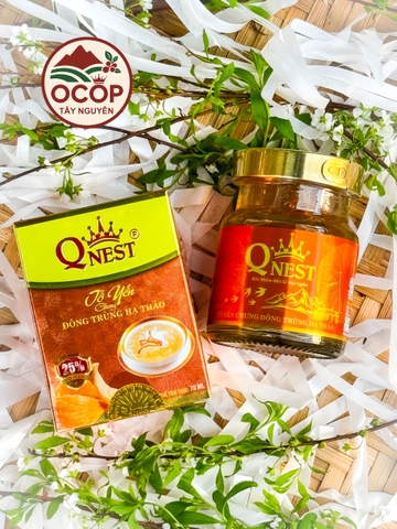 Tổ Yến Chưng Đông Trùng Hạ Thảo