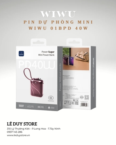 PIN DỰ PHÒNG MINI WiWU 01BPD 40W