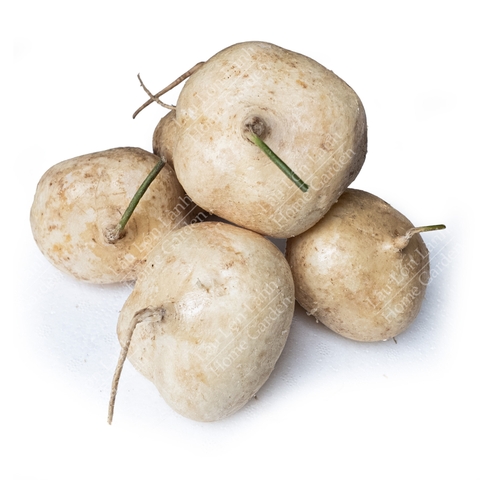 🤍 CỦ SẮN - 1KG - CST001