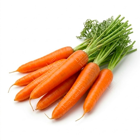 🥕 CÀ RỐT ĐÀ LẠT - 1KG - CRD001