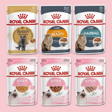 Pate mèo - Royal Canin - Nhiều vị - 85gram