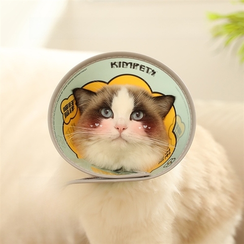 Loa Chống Liếm Mẫu 2