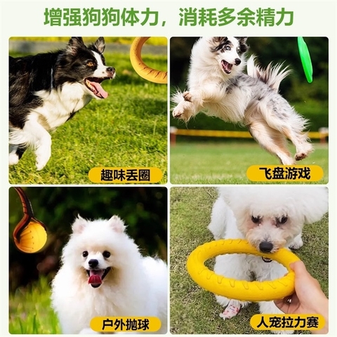 Vòng Ném Chụp Cho Chó