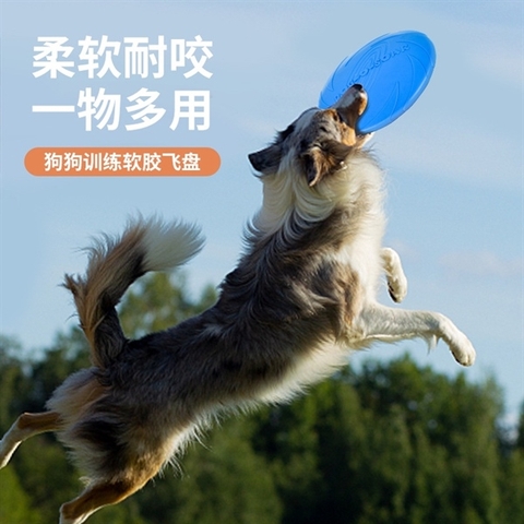 Đĩa Chụp Bắt Cho Chó