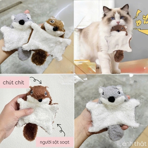 Đồ chơi con sóc bay