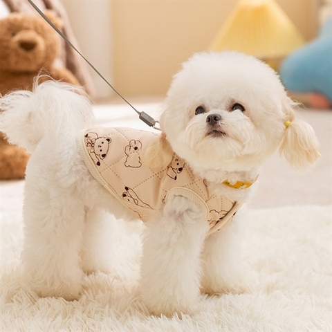 Áo Ghi Lê Hình Gấu