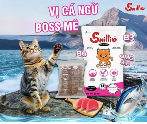 Hạt Smilliecho mèo trưởng thành