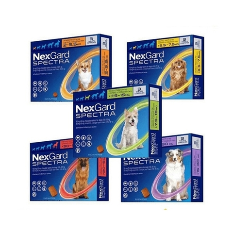 NexGard Spectra Trị Ve Rận, Xổ Giun, Ngừa Ghẻ Cho Chó (Dạng viên nhai)