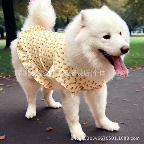 Váy Công Chúa Dòng Chó Lớn