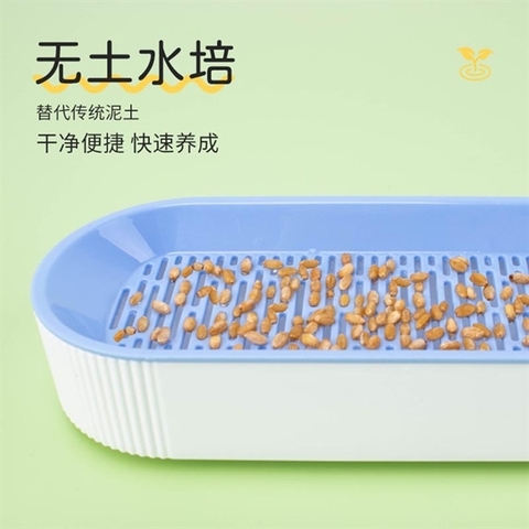 Khay Trồng Cỏ Mèo + Hạt Giống