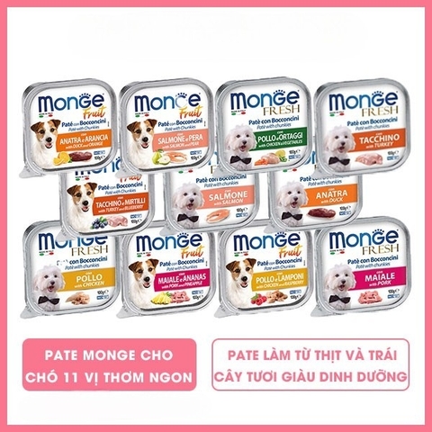 Monge Fresh Mọi Lứa Tuổi Hộp 100g - Nhiều vị