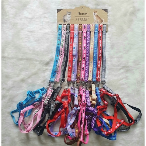 Dây đai người zichen 1.0