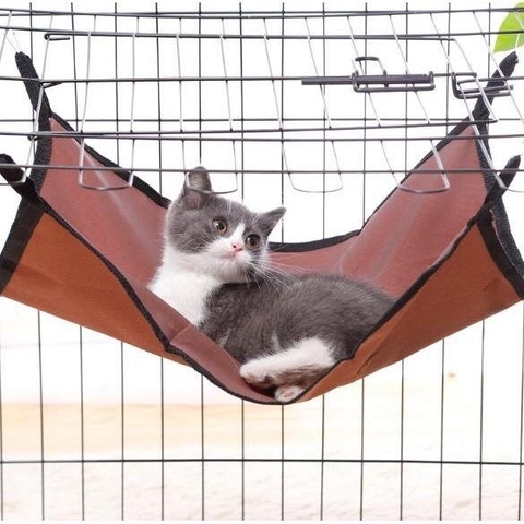 Võng treo cho mèo