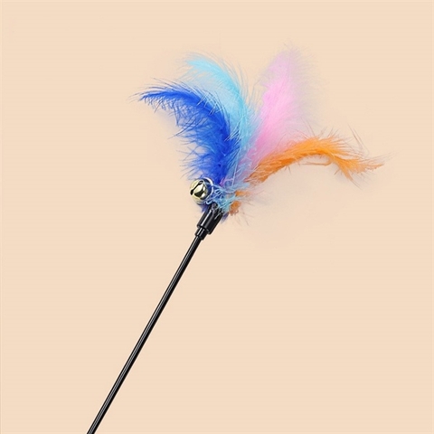 Cần Câu Mèo Lông Vũ 3