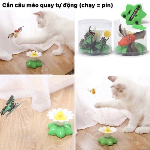 Cần câu mèo quay tự động bằng pin - Chim