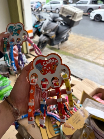 Vòng cổ Collar Pet
