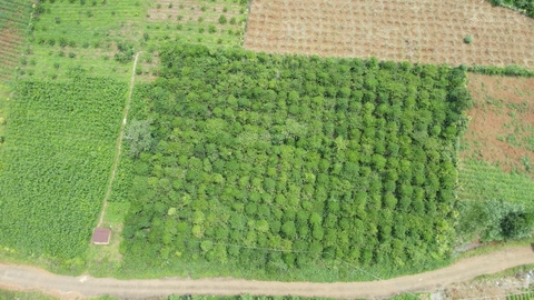 Mua bán đất Bảo Lộc đường Tản Đà view đẹp