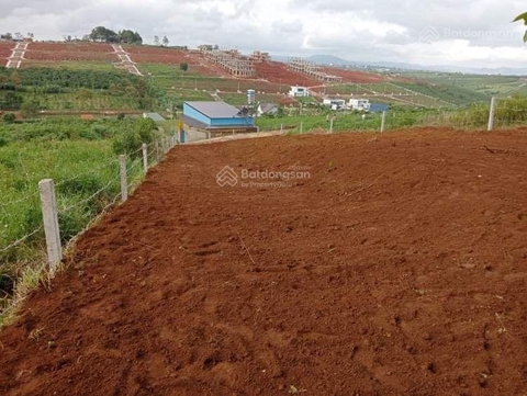 Mua bán đất Bảo Lộc đường Tản Đà giá tốt