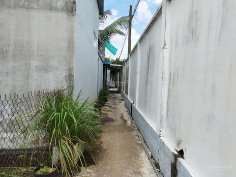 Mua bán đất Cần Giuộc Long An tại Mỹ Lộc