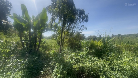 Mua bán đất Bảo Lộc sẵn 200m2 thổ cư