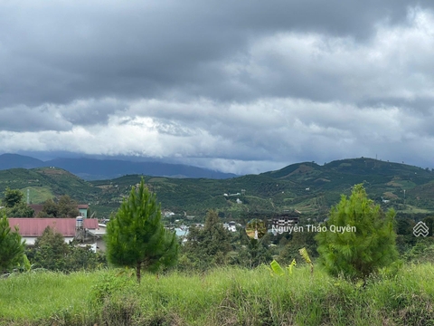 Mua bán đất Bảo Lộc đường Lê Thị Riêng sẵn 200m2