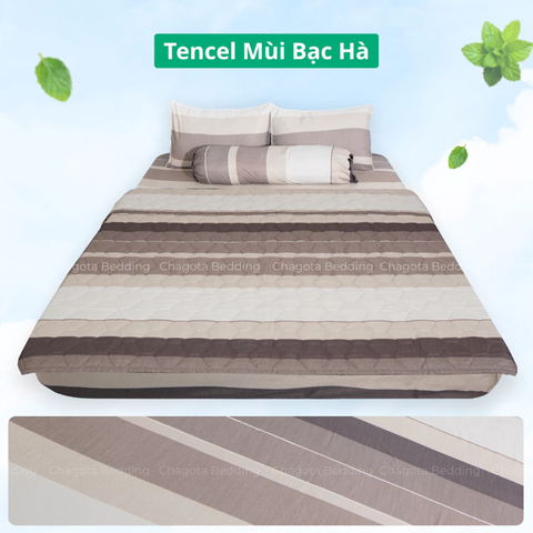 Bộ Chăn Ga Gối Ice Mint BH39 Hương Bạc Hà Đặc Trưng, Kháng Khuẩn Nhiều Họa Tiết 1m