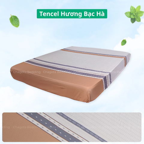 Ga Giường Lẻ Ice Mint BH51 Tinh chất Bạc Hà kháng Khuẩn Nhiều Hoạ Tiết 2m